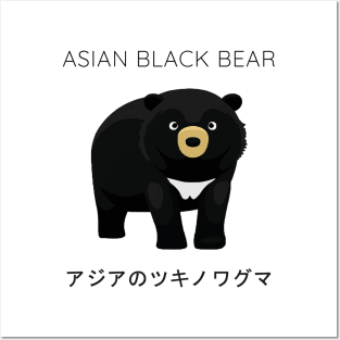 Asiatic Black Bear, Asian Black Bear, Moon Bear Posters and Art